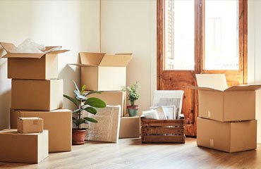 Packers and Movers Services