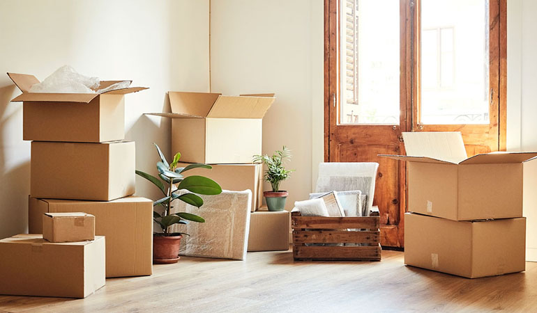 Packers and Movers Services